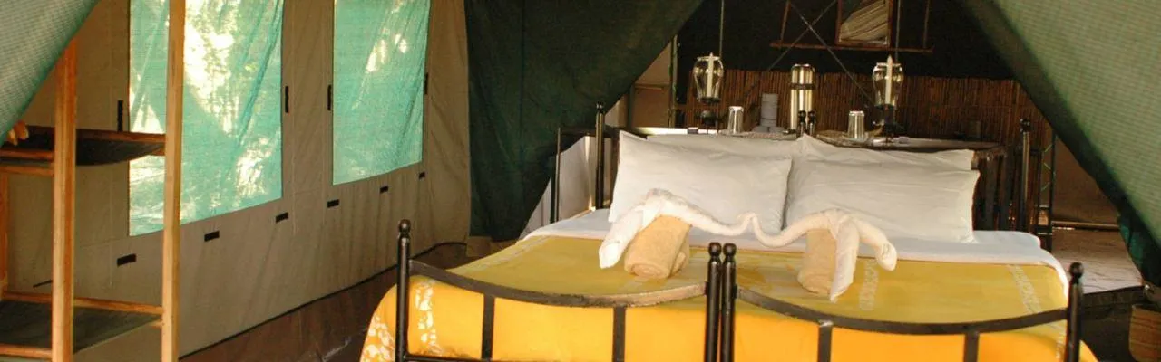 Selous Game Reserve Lodges, Hotels and Camps