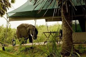 Lake Manze Camp image #3