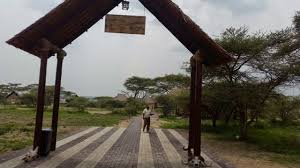 Lake Masek Tented Camp image #3