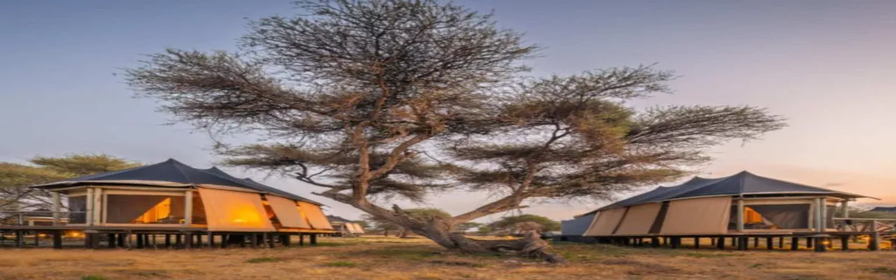 Lake Masek Tented Camp