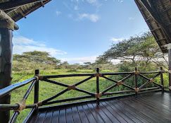 Lake Ndutu Luxury Tented Lodge image #15