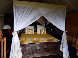 Lake Ndutu Luxury Tented Lodge image #5