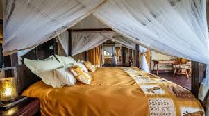 Lake Ndutu Luxury Tented Lodge image #4