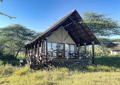 Lake Ndutu Luxury Tented Lodge image #10