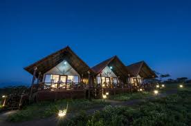 Lake Ndutu Luxury Tented Lodge image #8