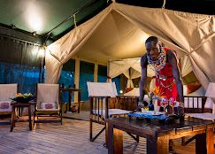 Mara  Mara Camp image #12