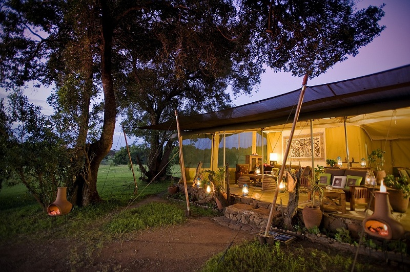 Mara  Mara Camp image #5