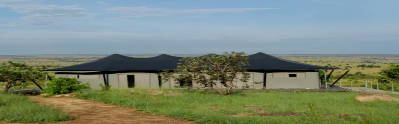 Mara  Mara Camp