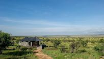 Mara  Mara Camp image #7