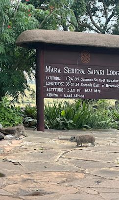 Mara Serena Safari Lodge image #17