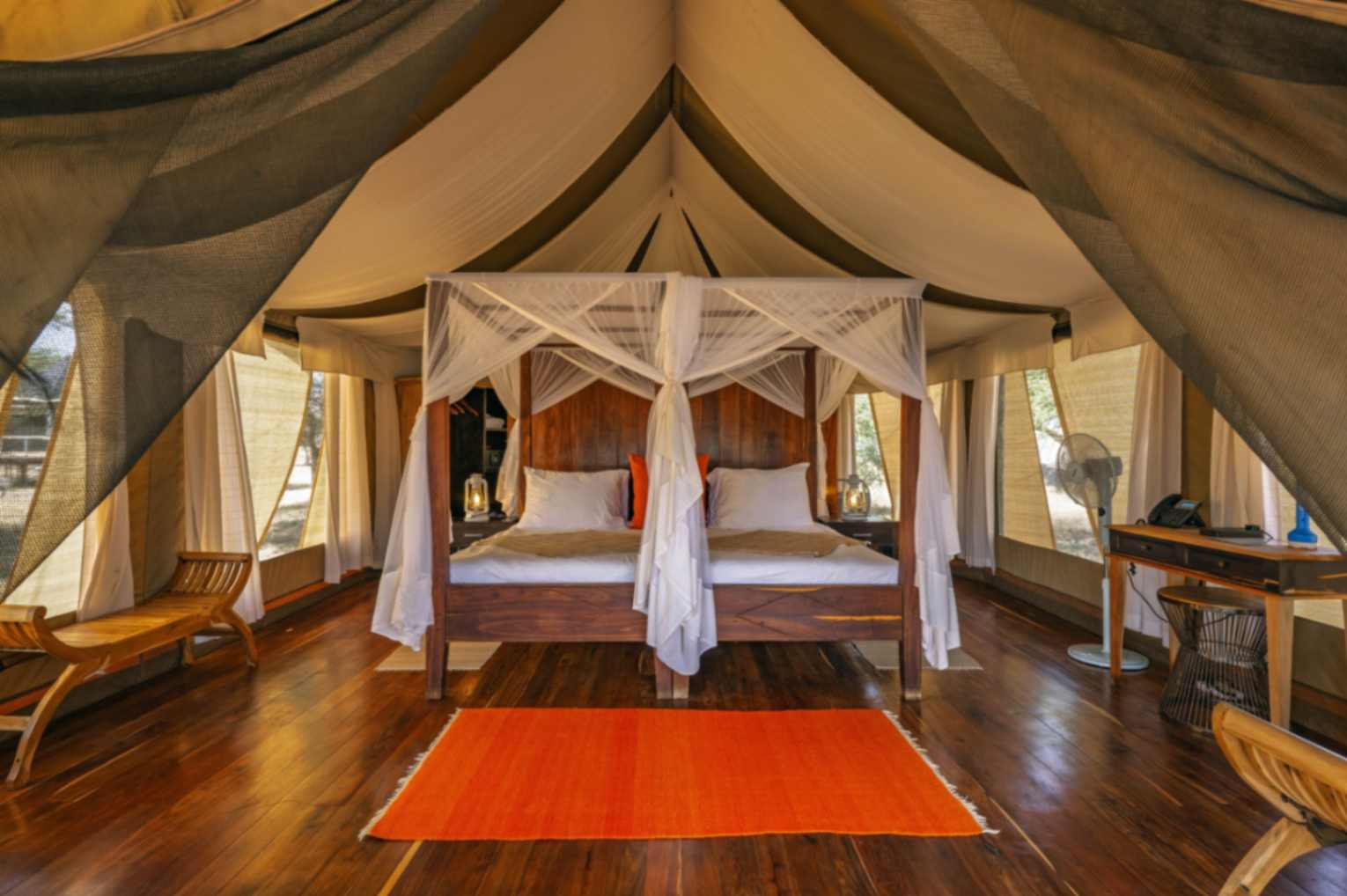 Masek Under Canvas image #8