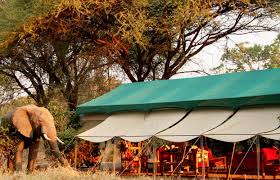 Mdonya Old River Camp image #1