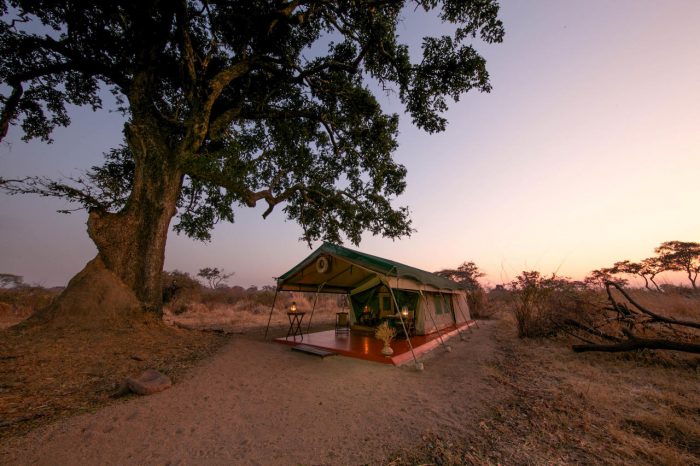 Mdonya Old River Camp image #10