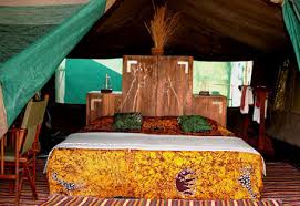 Mdonya Old River Camp image #4
