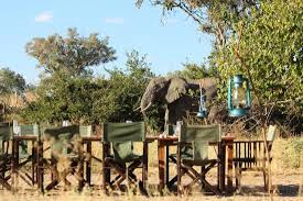 Mdonya Old River Camp image #5