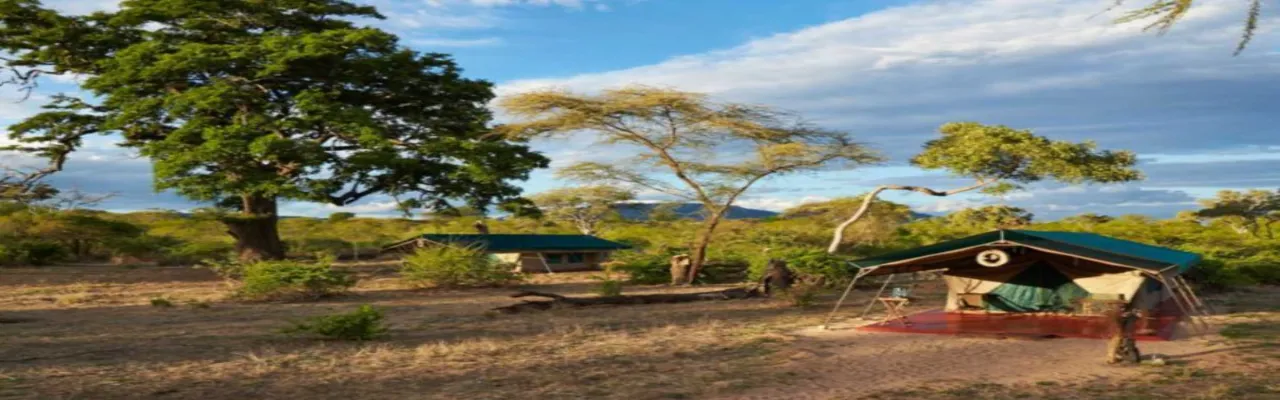 Mdonya Old River Camp
