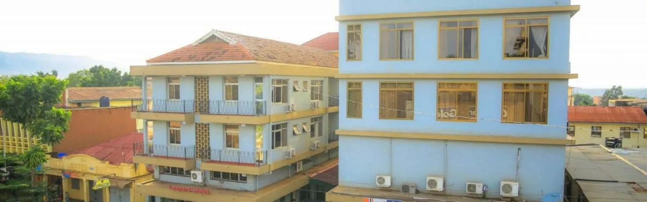 Moshi Leopard Hotel