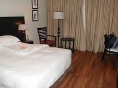 Mount Meru Hotel