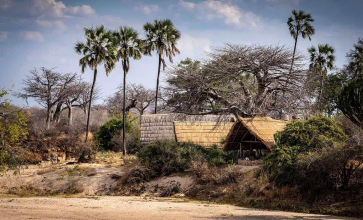 Mwagusi Safari Camp image #15