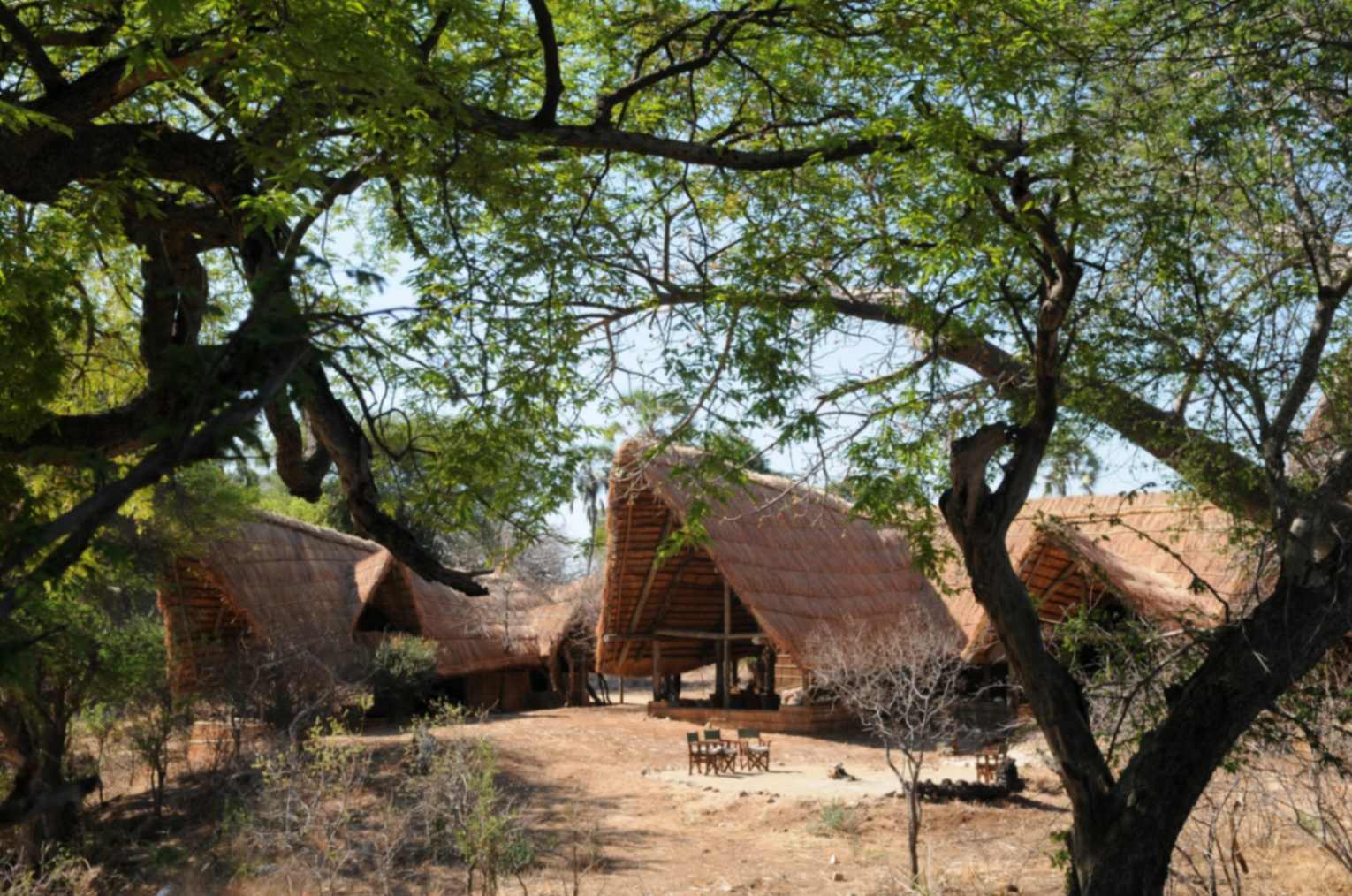 Mwagusi Safari Camp image #18