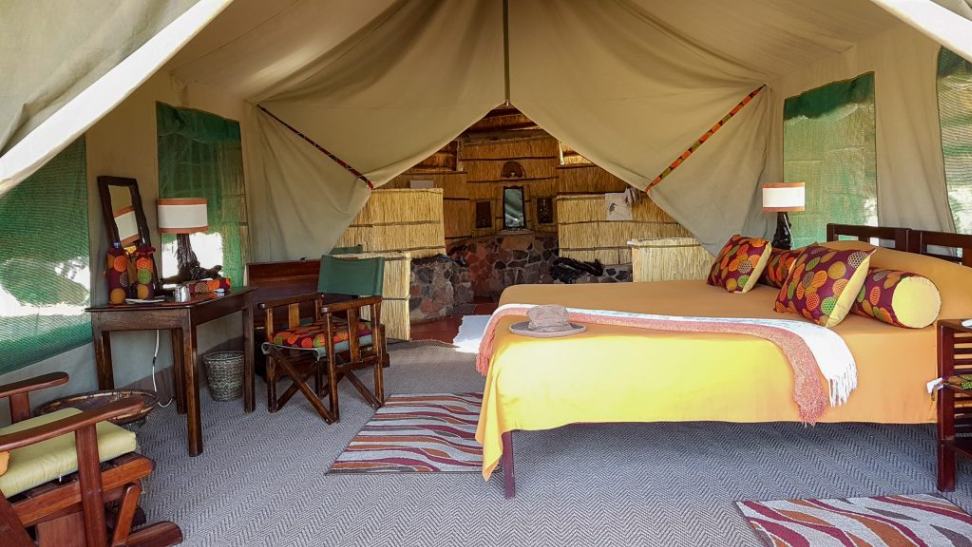 Mwagusi Safari Camp image #4