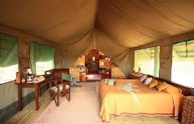 Mwagusi Safari Camp image #2