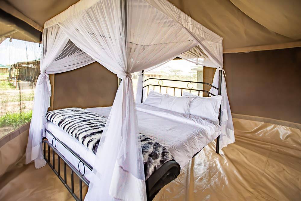 Ndutu Heritage Camp image #10