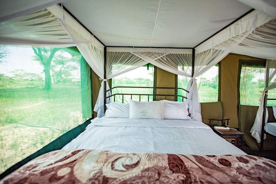 Ndutu Heritage Camp image #15