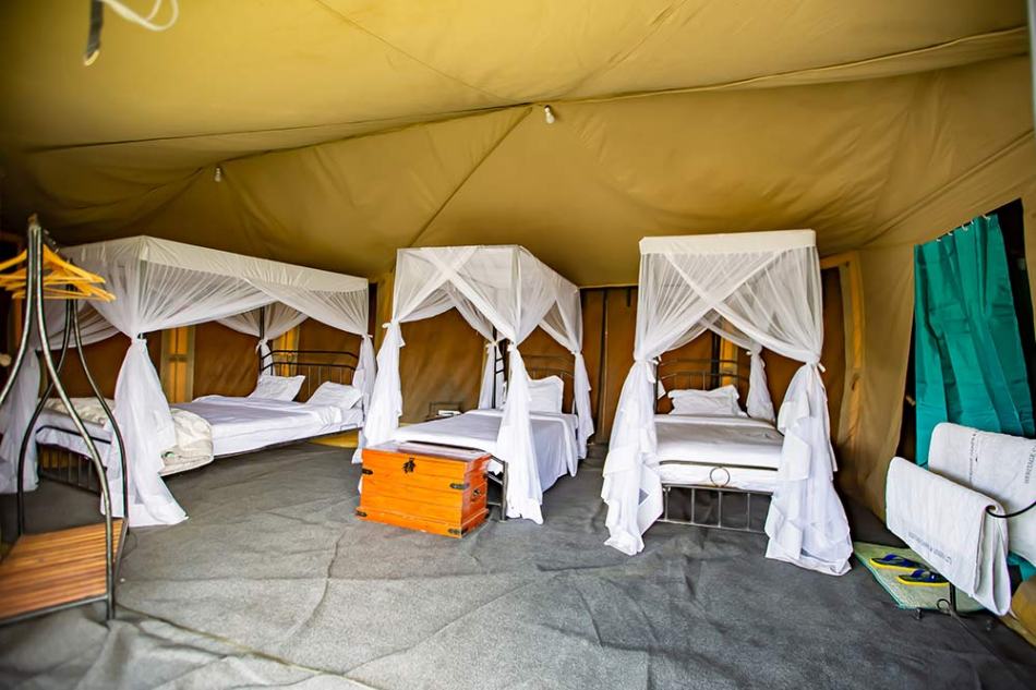 Ndutu Heritage Camp image #9