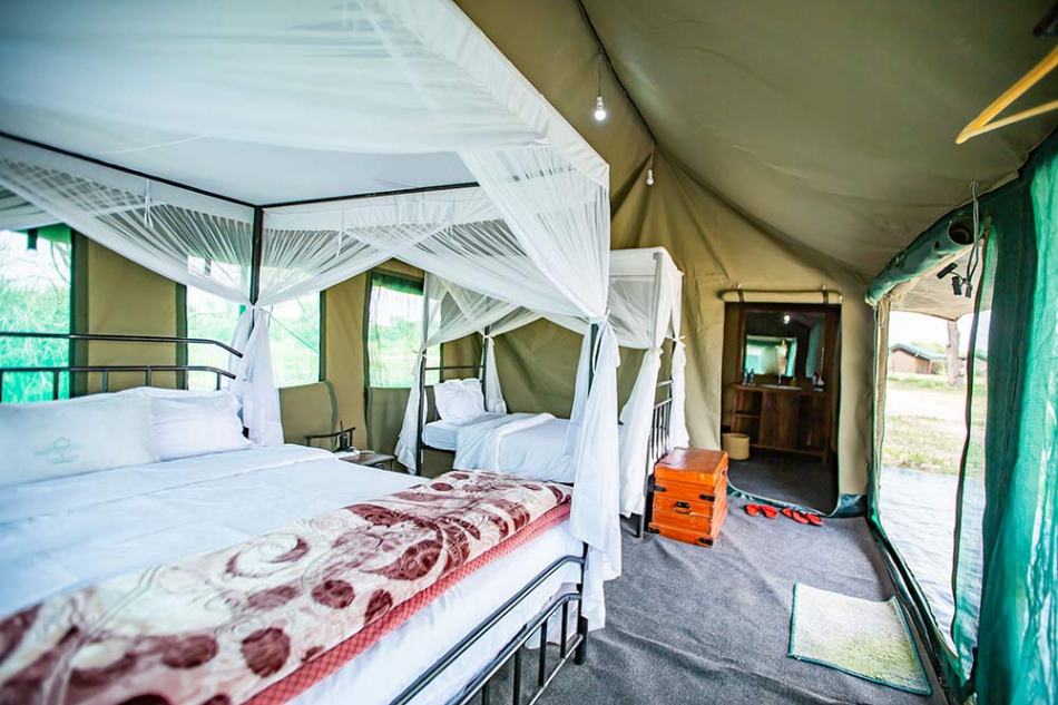 Ndutu Heritage Camp image #16
