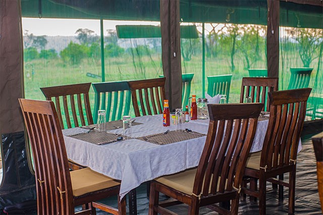 Ndutu Heritage Camp image #2