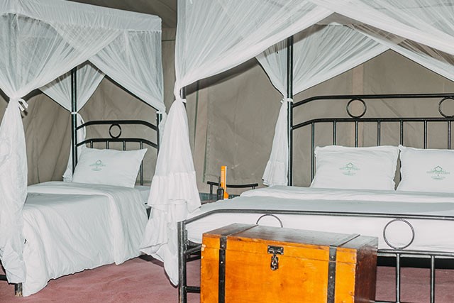 Ndutu Heritage Camp image #4