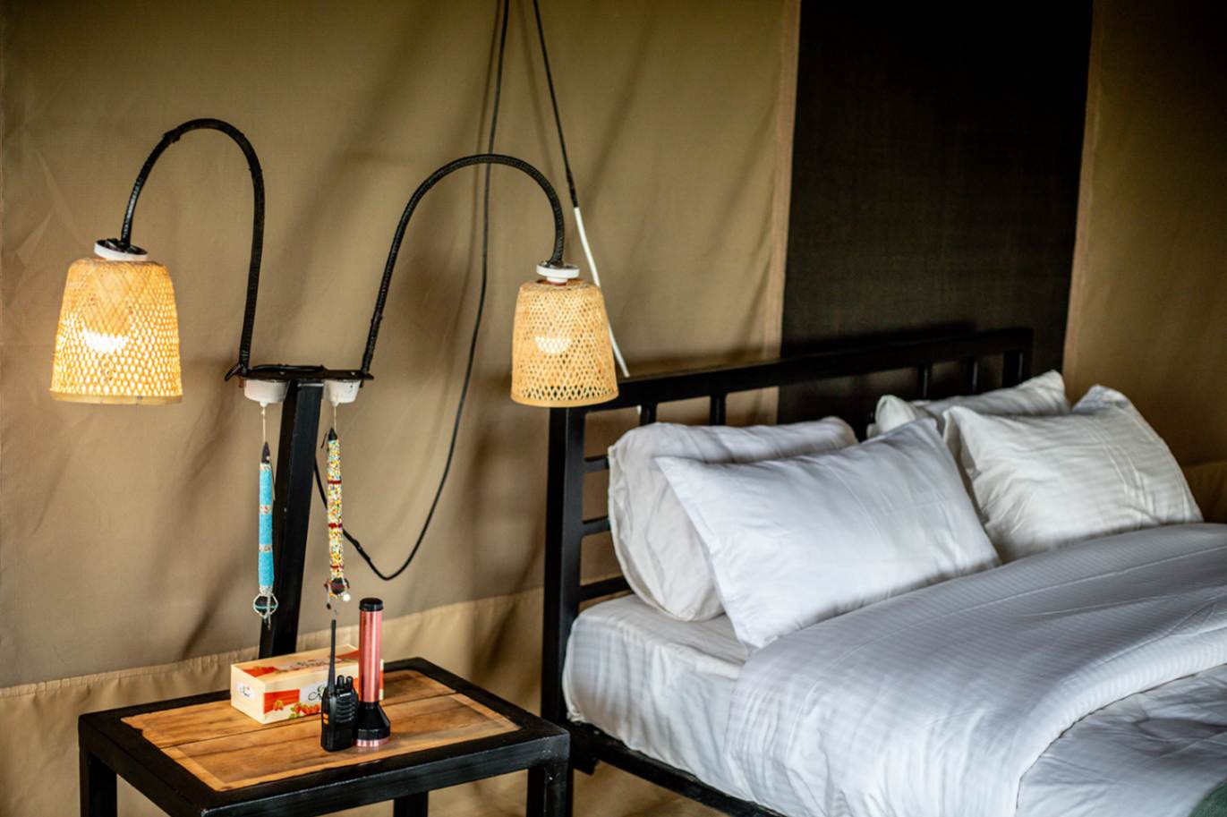 Ndutu Pure Migration Camp image #4