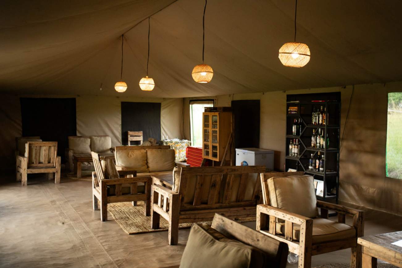 Ndutu Pure Migration Camp image #5