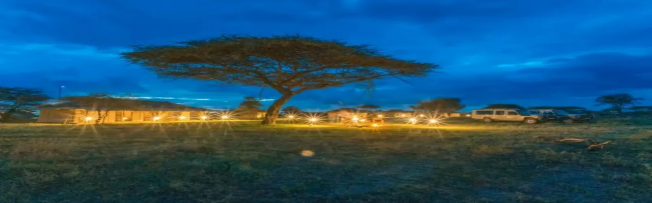 Ndutu Pure Migration Camp