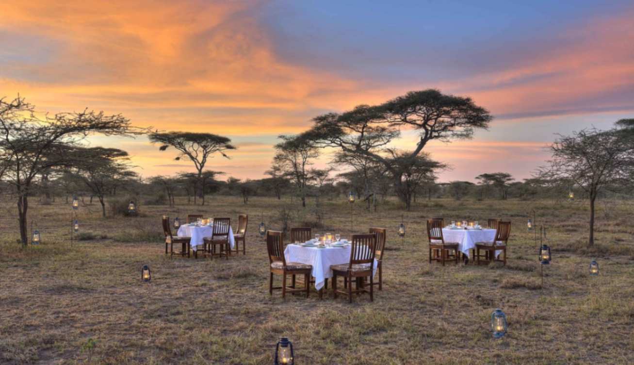 Ndutu Safari Lodge image #17