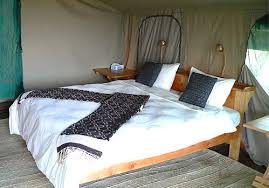 Ndutu Safari Lodge image #2