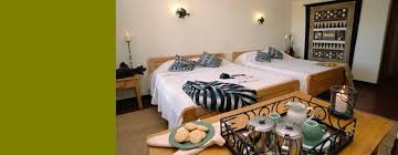 Ndutu Safari Lodge image #3