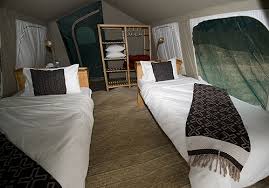 Ndutu Safari Lodge image #16