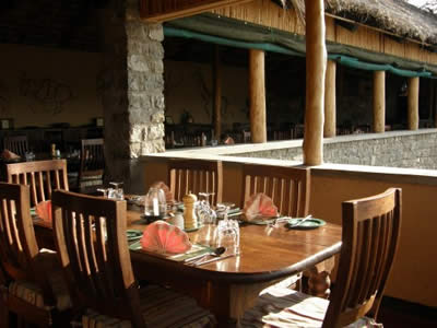 Ndutu Safari Lodge image #6
