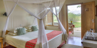 Ndutu Safari Lodge image #1