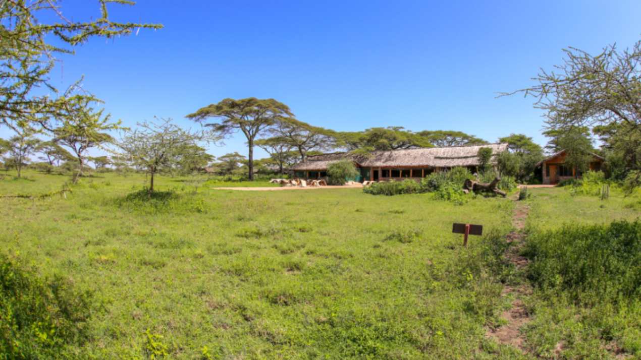 Ndutu Safari Lodge image #18