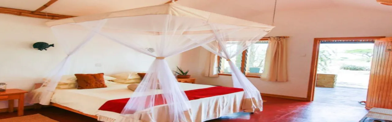 Ndutu Safari Lodge