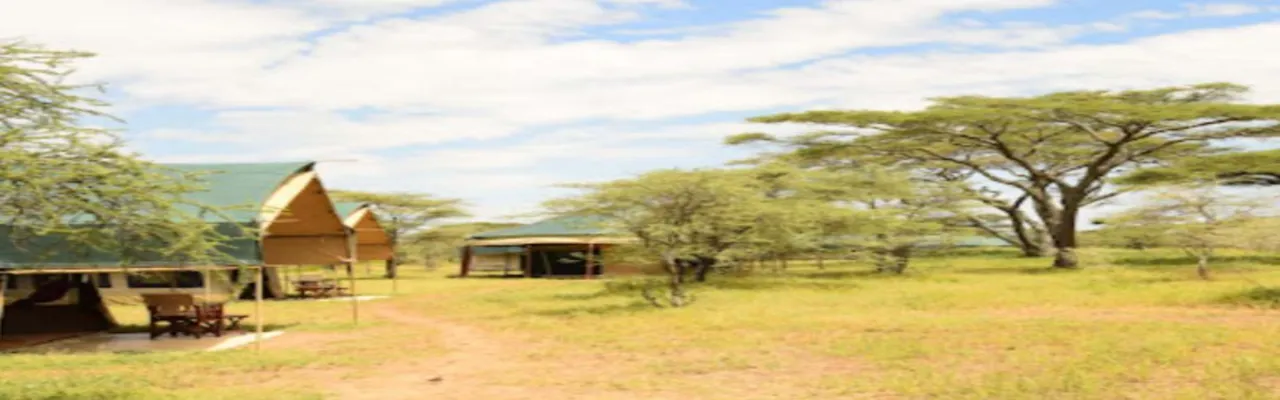 Ndutu Tingitana Tented Camp