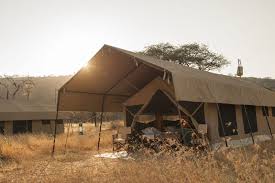 Ndutu Under Canvas image #4