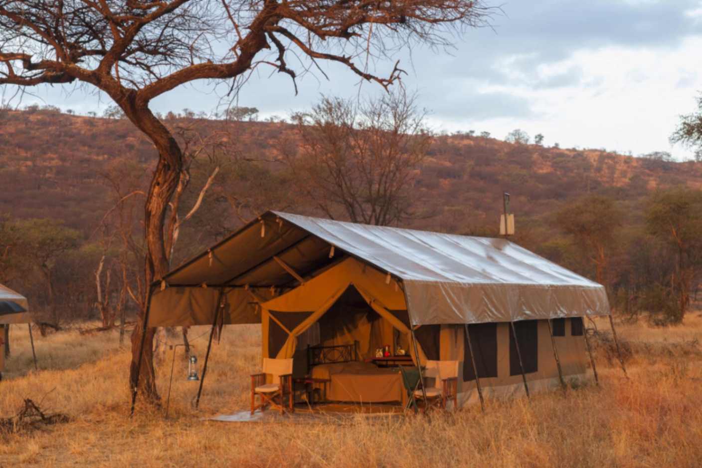 Ndutu Under Canvas image #9