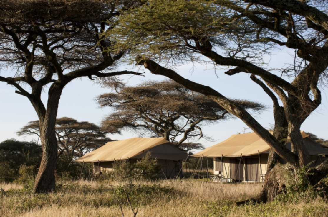 Ndutu Under Canvas image #8