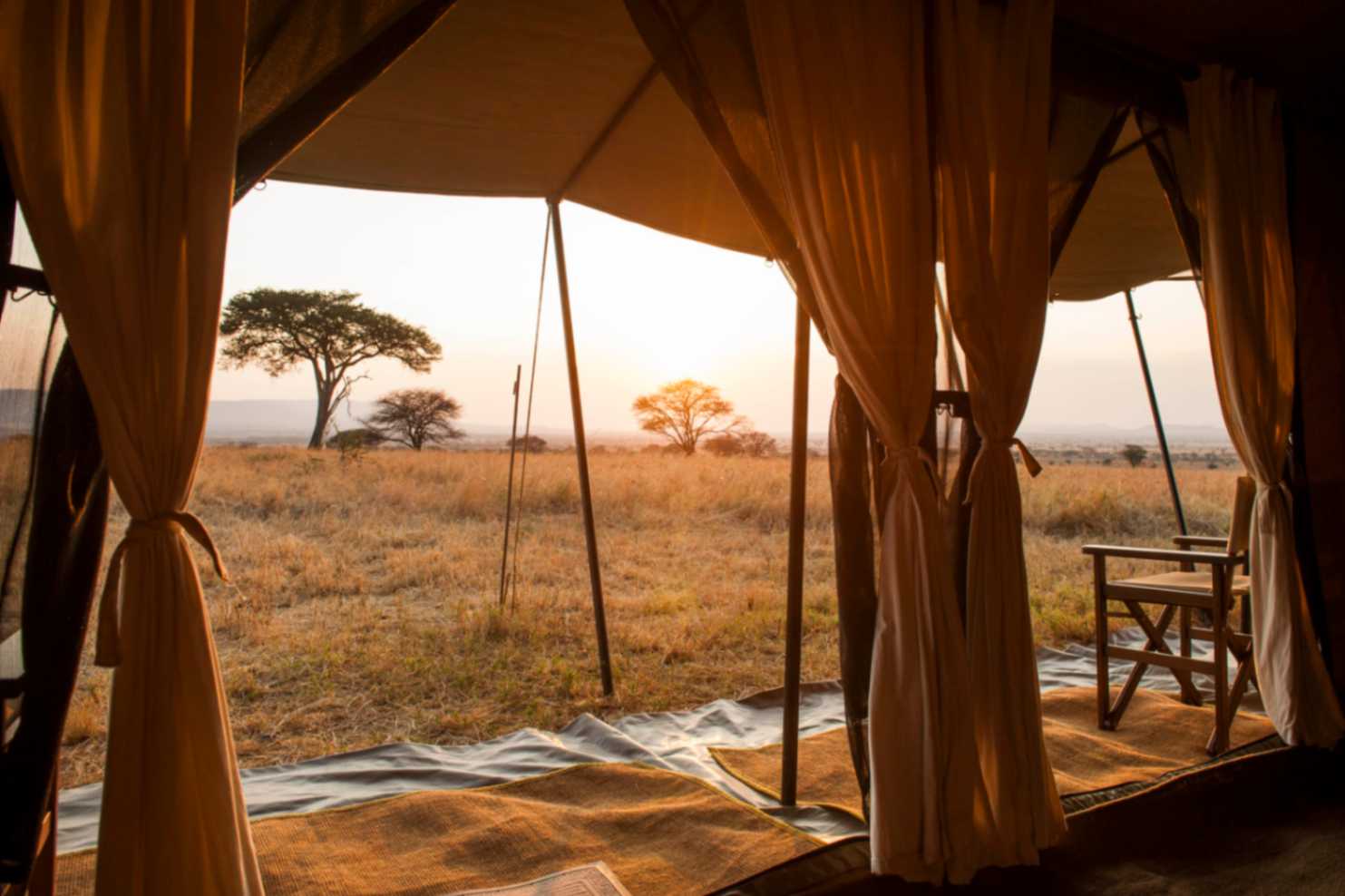 Ndutu Under Canvas image #10
