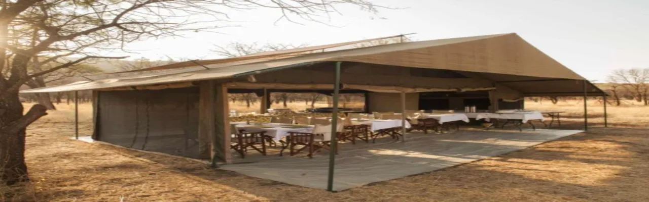 Ndutu Under Canvas