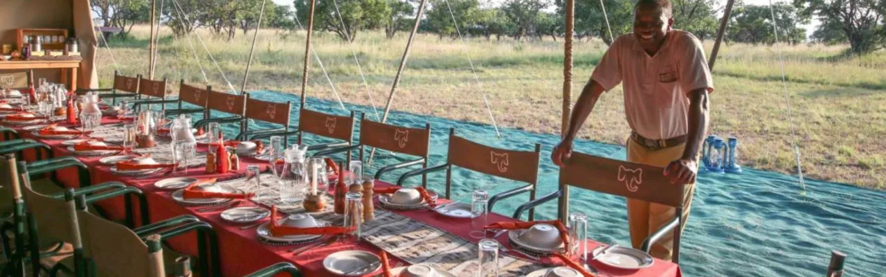 Ndutu - Serengeti Lodges